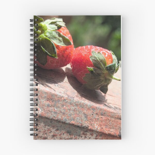 Item preview, Beautiful photo  designed and sold by TuToo98.