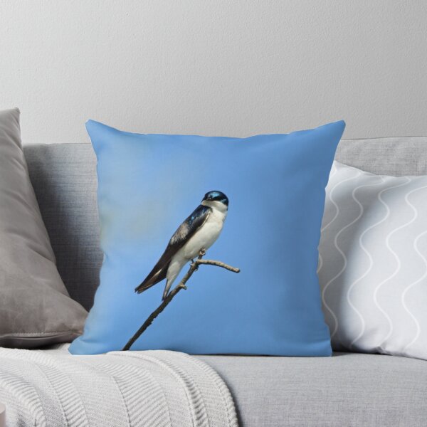 Item preview, Tree Swallow perching on a branch  designed and sold by MarkSmalley.
