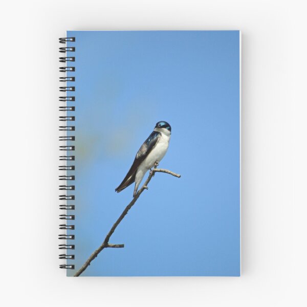 Item preview, Tree Swallow perching on a branch  designed and sold by MarkSmalley.