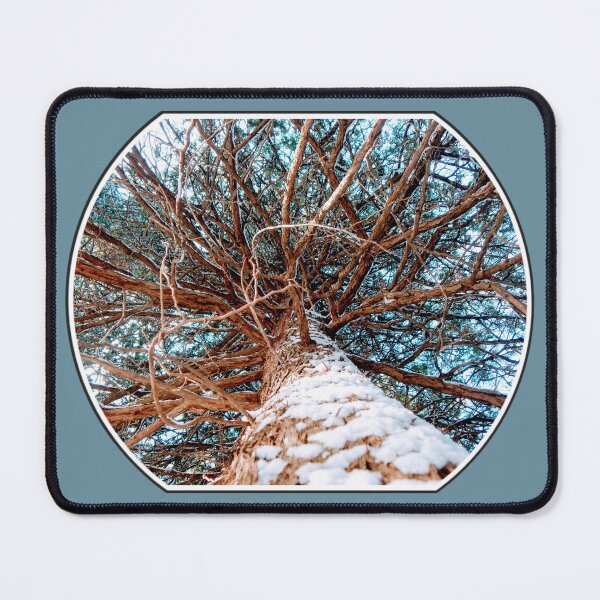 Item preview, Snowy Tree designed and sold by MLJM_Photography.