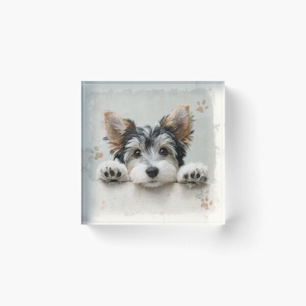 Item preview, Biewer Terrier Peeking over Wall 01 designed and sold by Elisabeth Lucas.
