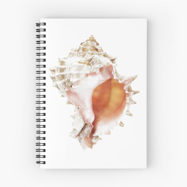 Item preview, Seashell with effect and internal transparency  designed and sold by di-Vera-Rosati.