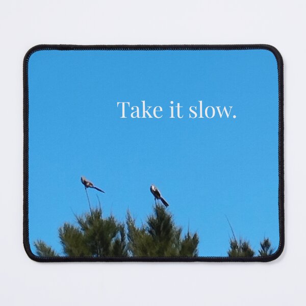Item preview, Take it slow.. designed and sold by bridgestrokes.