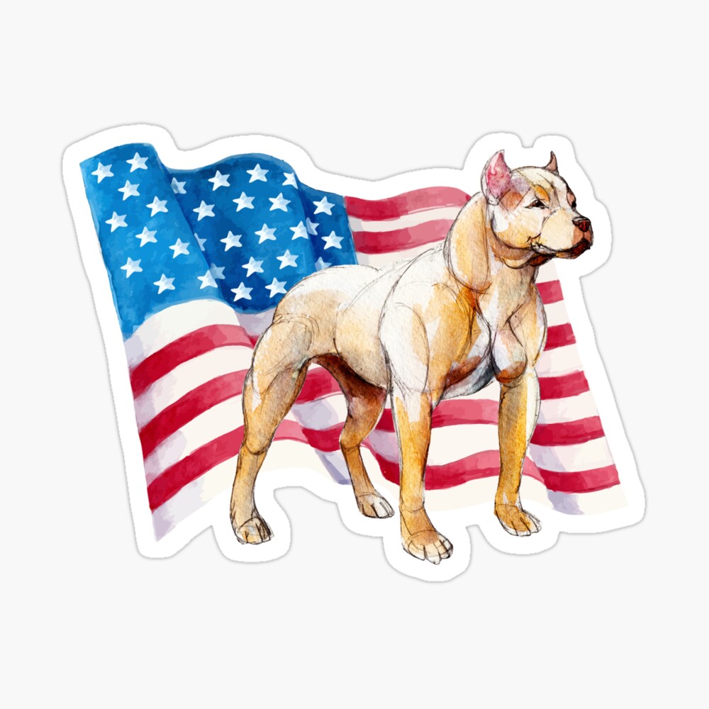 pitbull patriotic
