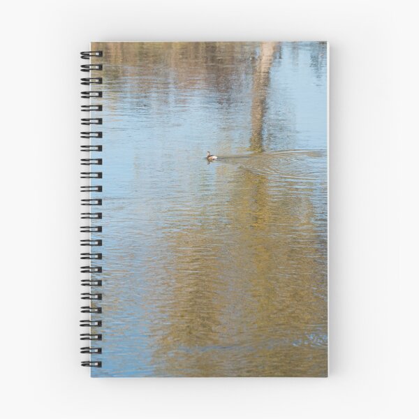 Item preview, Solitary Grebe on Calm Autumnal Waters designed and sold by Georgia Mizuleva.