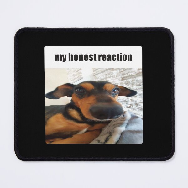 Item preview, My Honest Reaction Dog Meme designed and sold by Shinyvana.