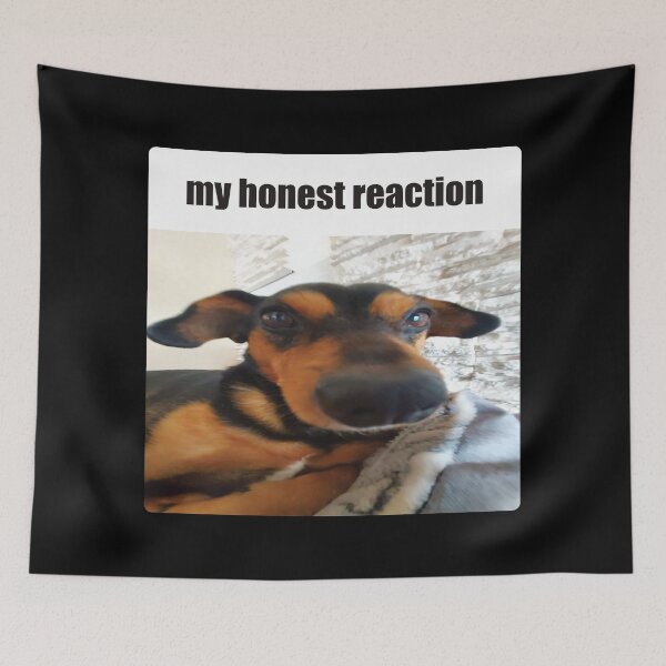 Item preview, My Honest Reaction Dog Meme designed and sold by Shinyvana.