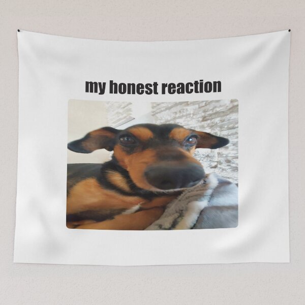 Item preview, My Honest Reaction Dog Meme designed and sold by Shinyvana.