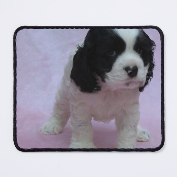 Item preview, Cocker Spaniel Puppy designed and sold by MelKowasic.