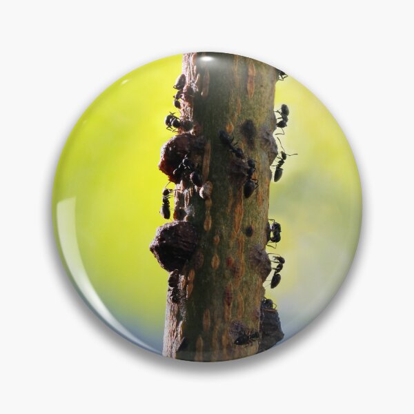 Item preview, Busy Busy Ants designed and sold by Siene Browne.