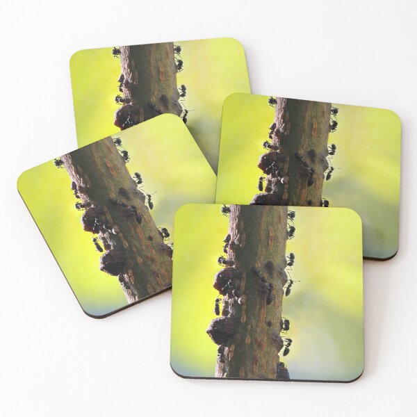 Item preview, Busy Busy Ants designed and sold by Siene Browne.
