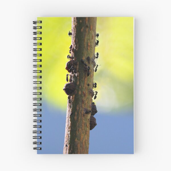 Item preview, Busy Busy Ants designed and sold by Siene Browne.