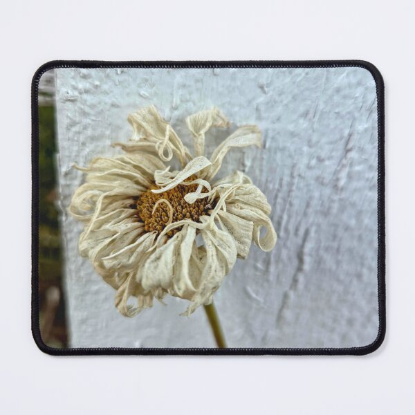 Item preview, Fading designed and sold by Betsy Phillips.