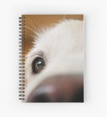 Fluffy Tetriever Close up Spiral Notebook