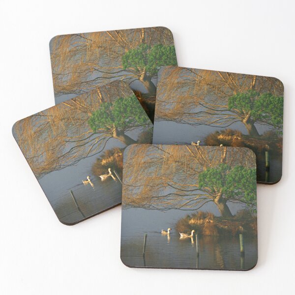Item preview, Early Morning Swim designed and sold by WhitsundayPhotos.