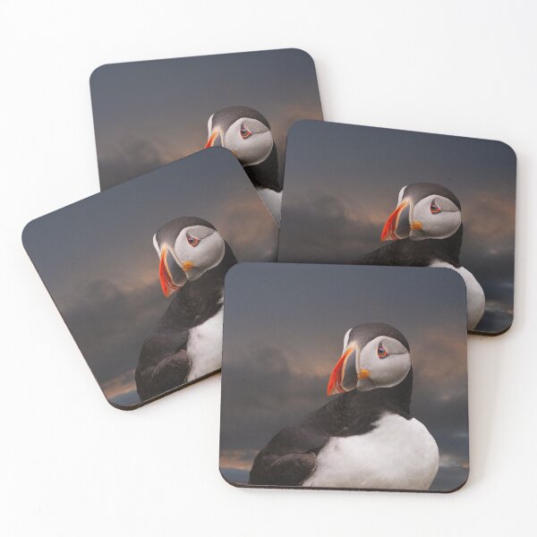 Item preview, Puffin 2 designed and sold by Alex Preiss.
