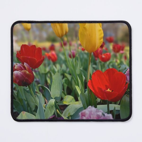 Item preview, Field of Tulips designed and sold by bluegumleaf.