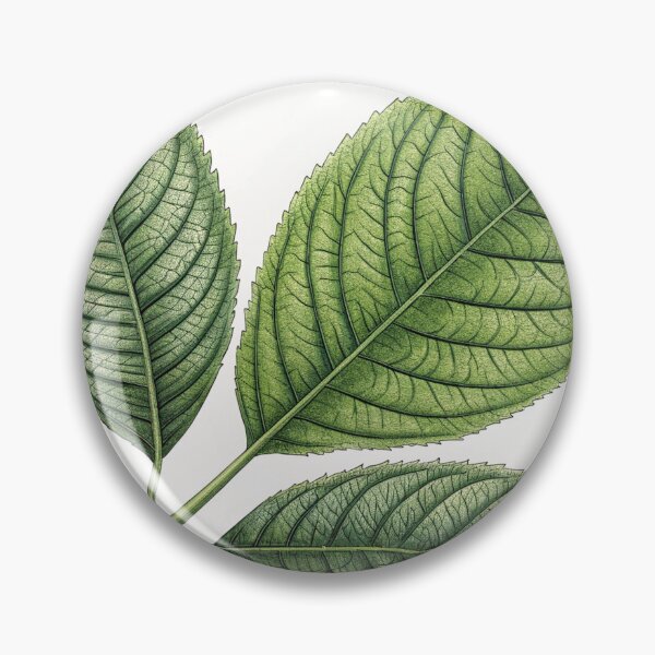 Item preview, green leaf structure designed and sold by CurvedRealities.