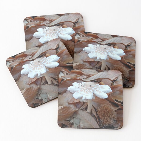 Item preview, Mushroom Among Autumn Leaves designed and sold by DavidePoggio.
