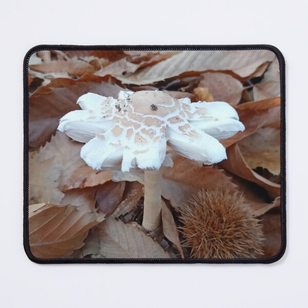 Item preview, Hongo entre hojas de otoño designed and sold by DavidePoggio.