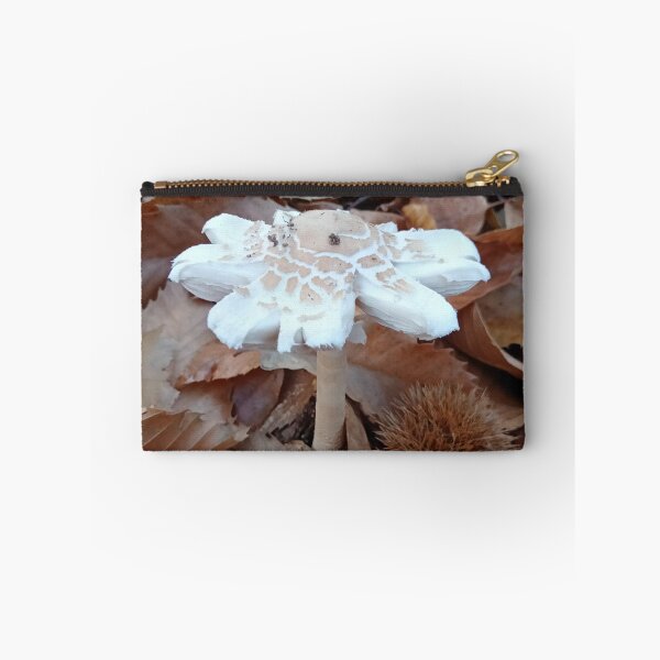 Item preview, Mushroom Among Autumn Leaves designed and sold by DavidePoggio.