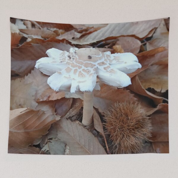 Item preview, Mushroom Among Autumn Leaves designed and sold by DavidePoggio.