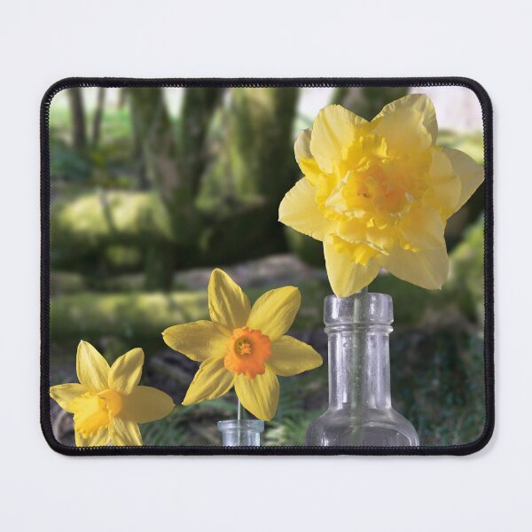 Item preview, Still Life in the Woods designed and sold by JonDelorme.