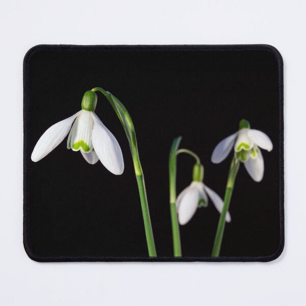Item preview, Spring Comes To A Wall Near You designed and sold by JonDelorme.