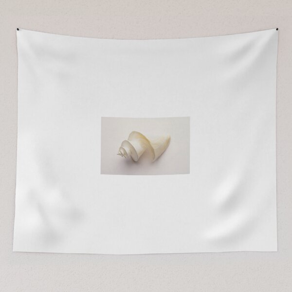Item preview, White Sea Shell designed and sold by RMSphoto.