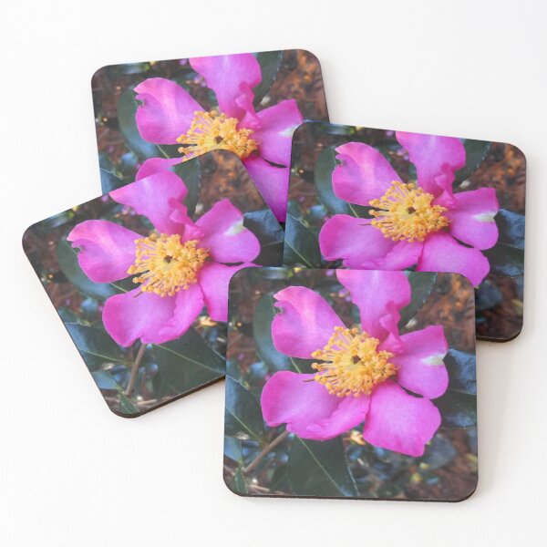 Item preview, Peaceful Peony  designed and sold by Trisha North.