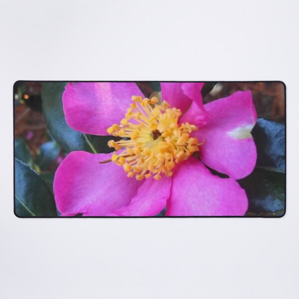 Item preview, Peaceful Peony designed and sold by Trisha North.