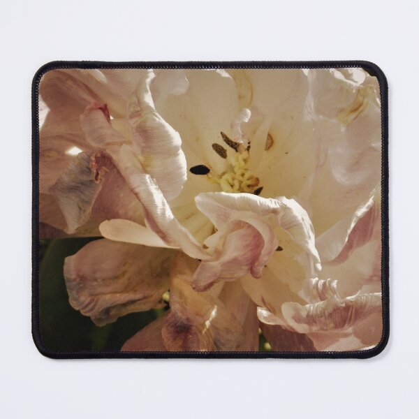Item preview, Apple Blossom at Sundown designed and sold by Trisha North.