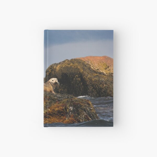 Rock Star! Hardcover Journal