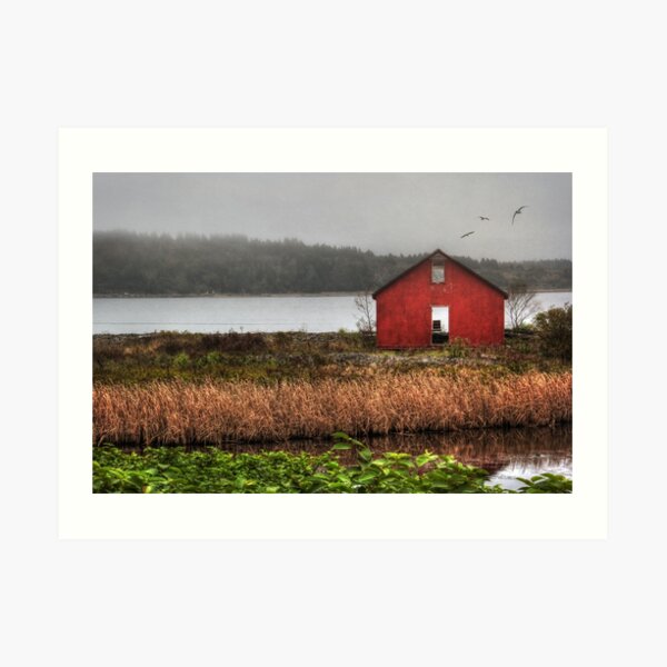 Room with a View Art Print