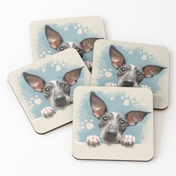 Item preview, Coated American Hairless Terrier 01 designed and sold by Elisabeth Lucas.