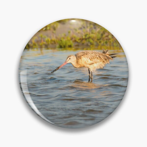 Item preview, Marbled Godwit in Shallow Water designed and sold by Debra Martz.