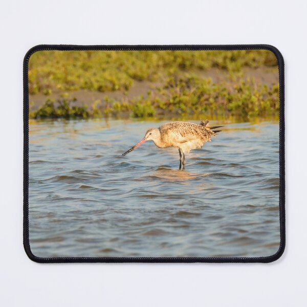 Item preview, Marbled Godwit in Shallow Water designed and sold by Debra Martz.