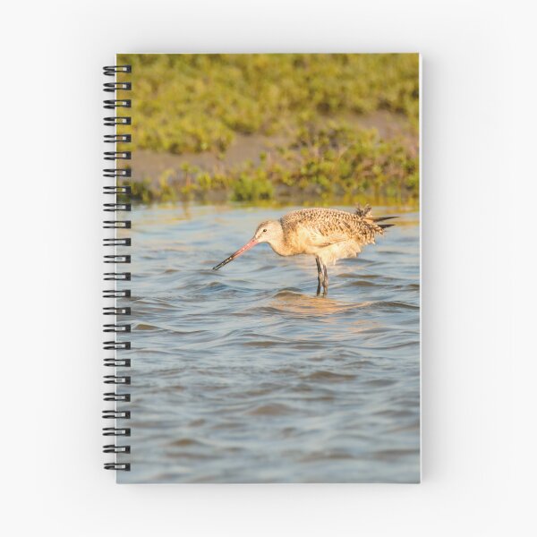 Item preview, Marbled Godwit in Shallow Water designed and sold by Debra Martz.