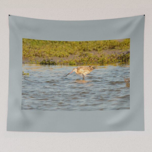Item preview, Marbled Godwit in Shallow Water designed and sold by Debra Martz.