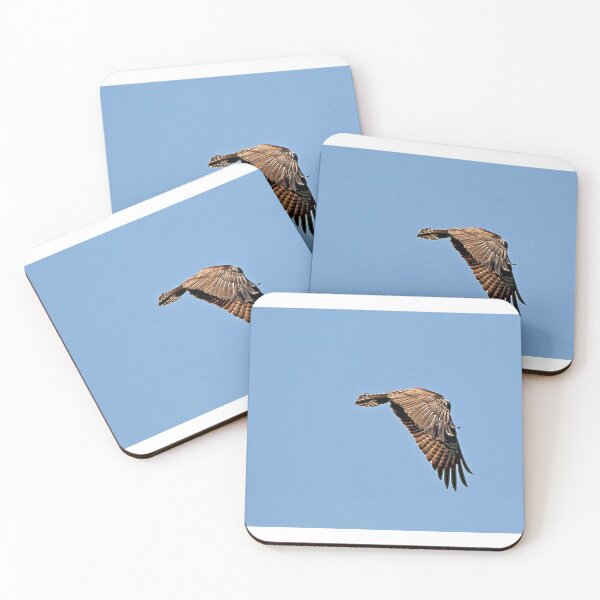 Item preview, Osprey in flight designed and sold by MarkSmalley.