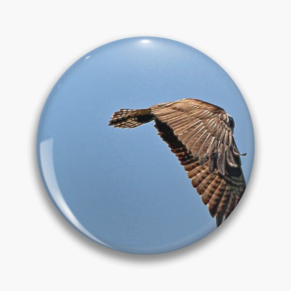 Item preview, Osprey in flight designed and sold by MarkSmalley.
