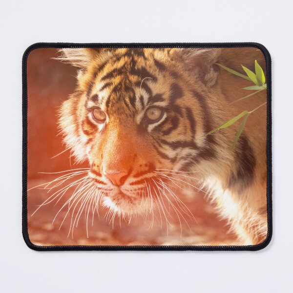 Item preview, Silent Focus designed and sold by AstrallRosePhotos.