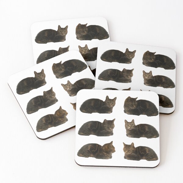 Item preview,  Cat album designed and sold by Designfs.