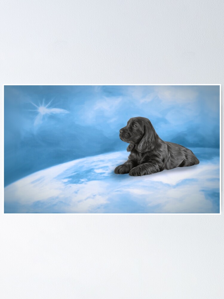 English Cocker Spaniel Puppy Drawing Poster By Bonidog Redbubble