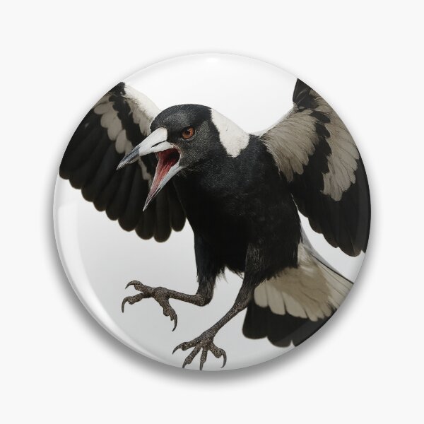 Item preview, Swooping Magpie designed and sold by Wonkies.