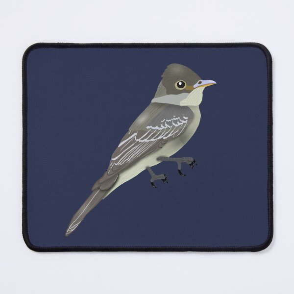 Item preview, Eastern Wood Pewee designed and sold by BDBirds.