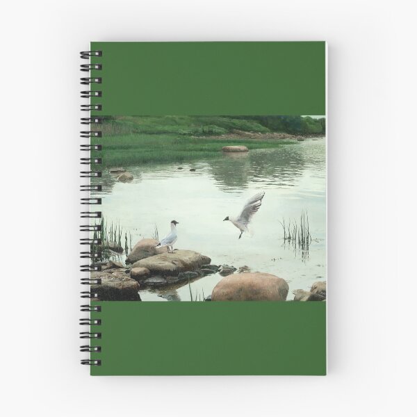 Item preview, Black-Headed Gulls on Kopli Seashore designed and sold by ISEriksonartist.
