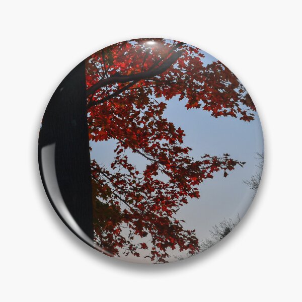 Item preview, Sun Burst in Autumn designed and sold by Kerri Ann McClellan.