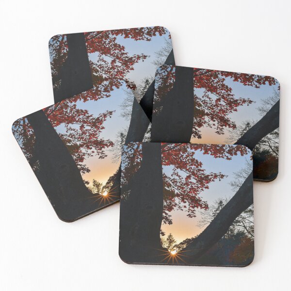 Item preview, Sun Burst in Autumn designed and sold by Kerri Ann McClellan.