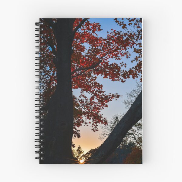 Item preview, Sun Burst in Autumn designed and sold by Kerri Ann McClellan.